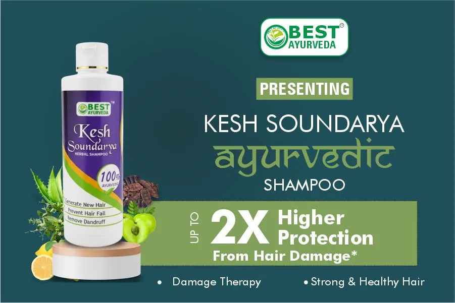 Product Highlight