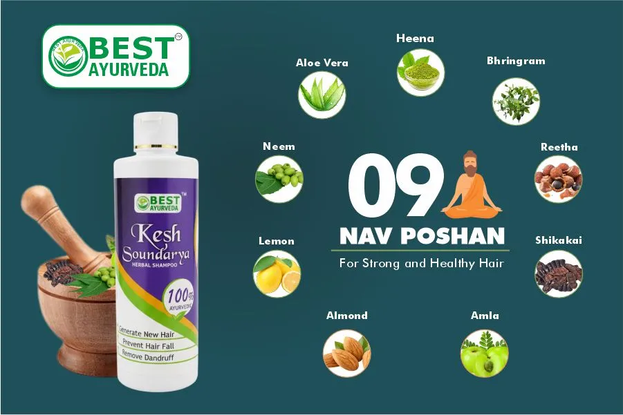 Product Highlight